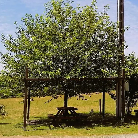 Le Puy Du Fou A 5 Km 4 Personnes