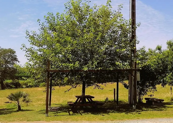 Le Puy Du Fou A 5 Km 4 Personnes